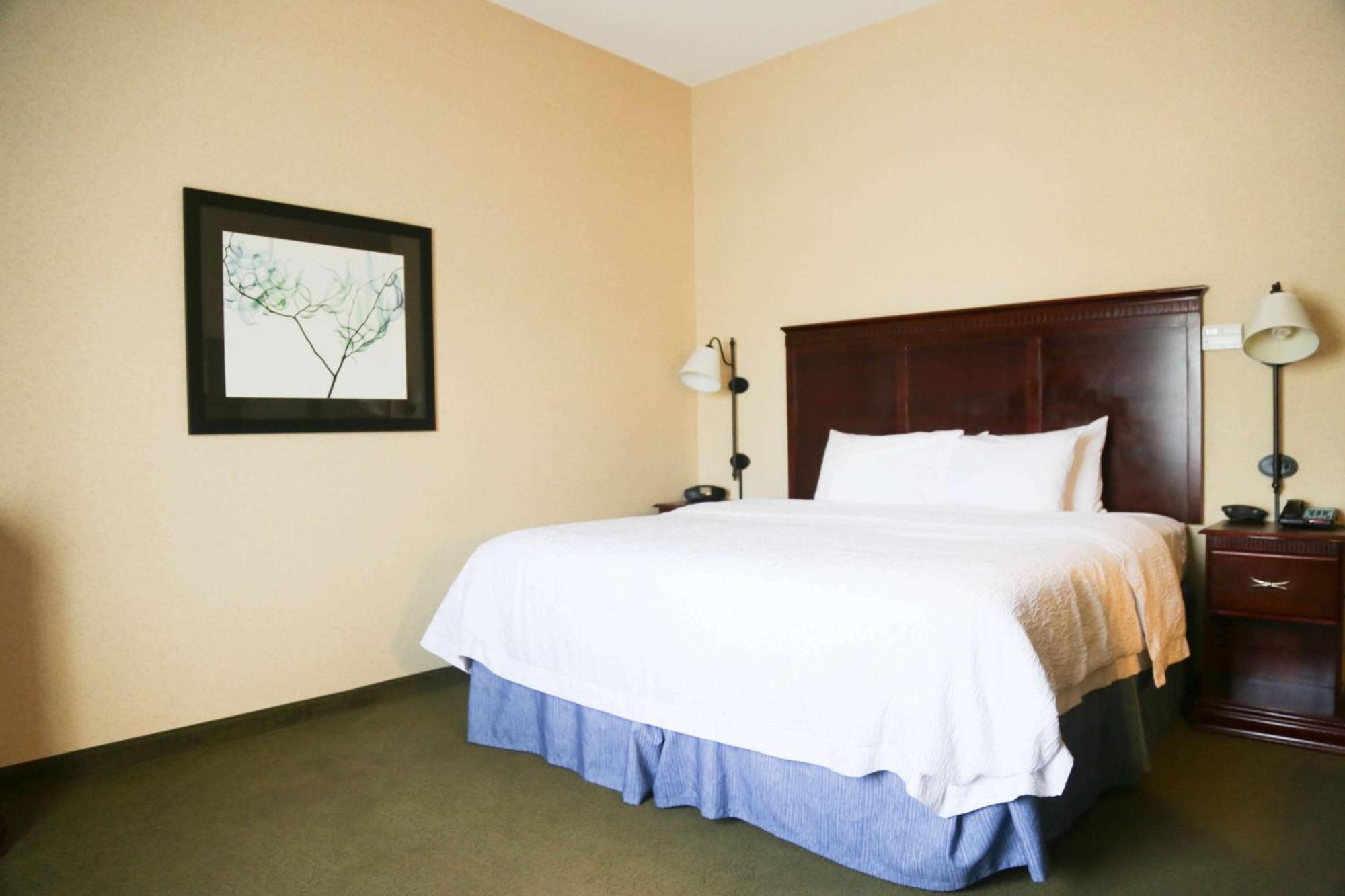 Hampton Inn Моргед Екстер'єр фото